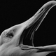 How <i>The Lighthouse</i>'s Seagulls Got Ready for Their Closeup